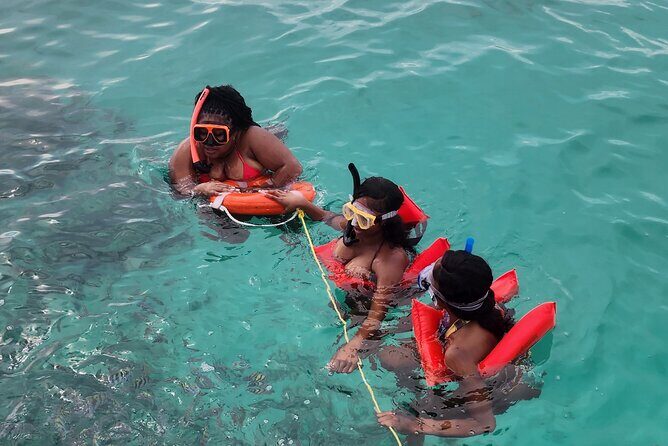 Exotic half day private charters to Rose Island, Pigs and Turtles - Who Is This Tour Best For?