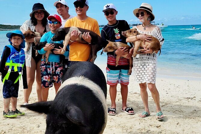 Exotic half day private charters to Rose Island, Pigs and Turtles - FAQs
