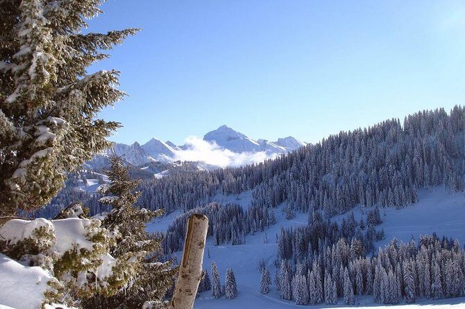 Exotic Manali Package - Key Points
