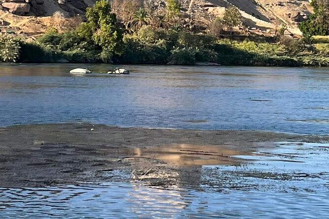 Exotic Nile Cruise tour - Day 4: Aswan’s Impressive Sites