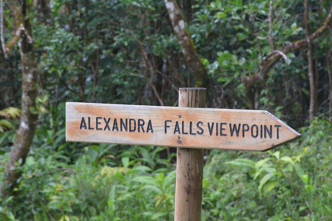 Exotic South: Journey into the Nature (Full-Day Tour incl Lunch & Ebony Forest) - Stop 4: Alexandra Falls