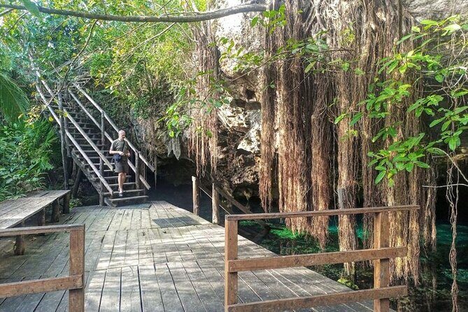 Exotik half a day tour: Cenote Cave and Swimming with Sea Turtles - Who Will Appreciate This Tour?
