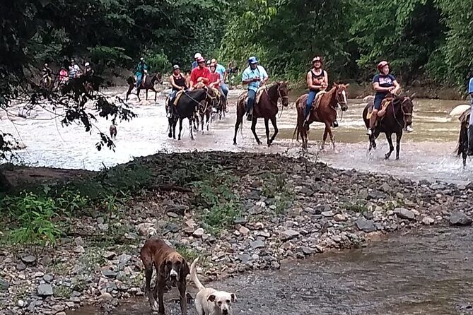 Experience 3 in 1 - Horse Riding, Zipline & ATV Shared - A Closer Look at the Experience
