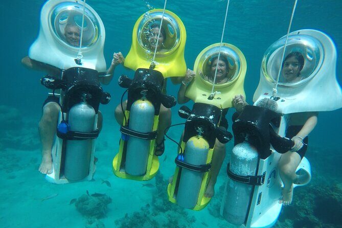 Experience a Submarine Scooter with ScubaDoo Punta Cana - The Marine Environment and Sightings