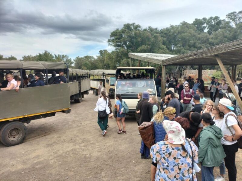 Experience an Amazing Big5 Safari near Cape Town! - FAQ