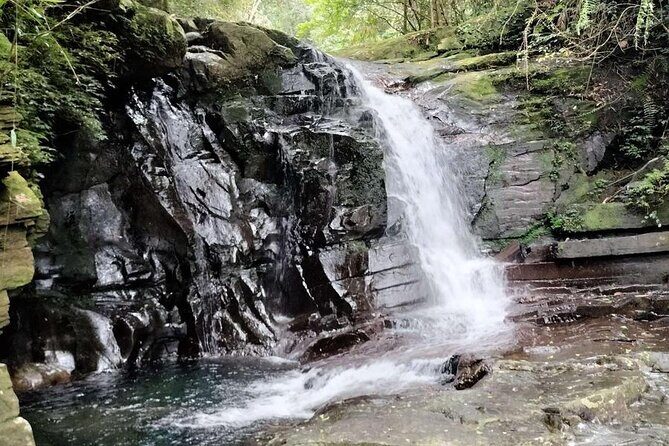 Experience Bach Ma Trekking Tour from Da Nang - The Sum Up