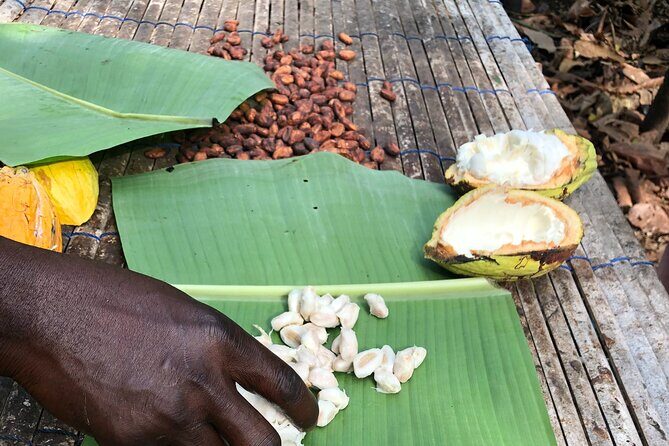 Experience Boti Waterfalls, Aburi Botanical Gardens & Tetteh Quarshie Cocoa Farm - A Full Breakdown of the Day
