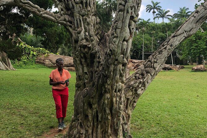 Experience Boti Waterfalls, Aburi Botanical Gardens & Tetteh Quarshie Cocoa Farm - FAQ