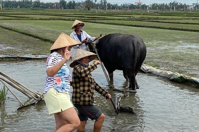 Experience Buffalo riding & farming w Local Farmer - Key Points
