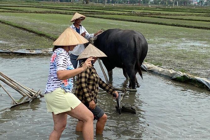 Experience Buffalo riding & farming w Local Farmer - FAQ