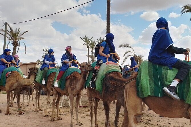 Experience Camel Ride Sunset or Anytime - What Travelers Say: Authentic Experiences and Friendly Guides