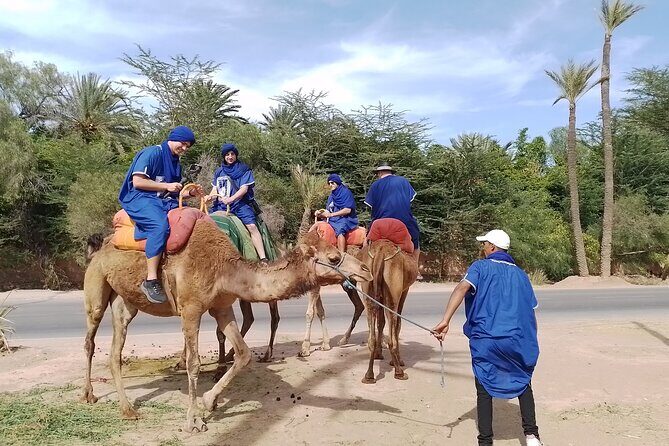 Experience Camel Ride Sunset or Anytime - Who Should Consider This Tour?