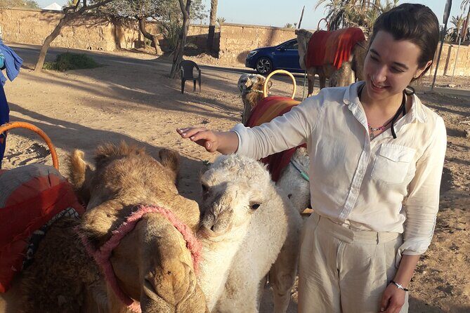 Experience Camel Ride Sunset or Anytime - A Final Word