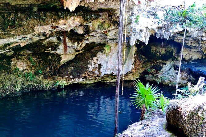 Experience Cancun's Hidden Gems, Mayan museum, cenote & Market 23 - Final Thoughts: Who Will Love This Tour?