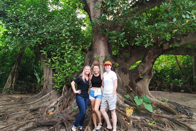 Experience Cancun's Hidden Gems, Mayan museum, cenote & Market 23 - In The Sum Up
