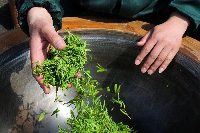 Experience Chengdu: Private Tea-Making Day Tour of Mengdingshan Tea Plantation - Key Points