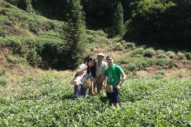 Experience Chengdu: Private Tea-Making Day Tour of Mengdingshan Tea Plantation - An In-Depth Look at the Tour Experience