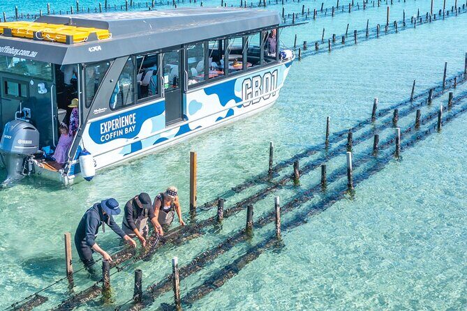 Experience Coffin Bay Oyster Farm and Bay Tour - Introduction