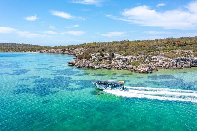 Experience Coffin Bay Oyster Farm and Bay Tour - Authentic Experiences and Review Insights