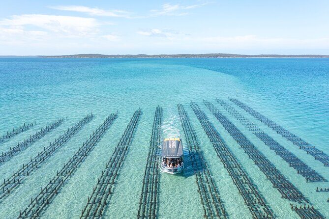 Experience Coffin Bay Oyster Farm and Bay Tour - FAQ