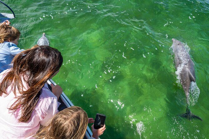 Experience Coffin Bay Short and Sweet Oyster Farm Tour - Final Thoughts