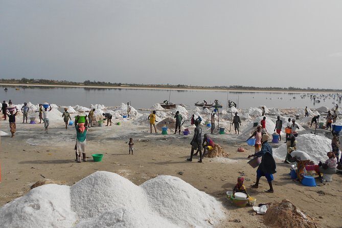 Experience Dakar-Goree-Pink Lake-Safari tour in 2 days - Key Points