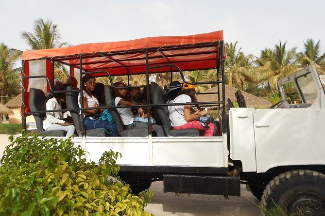 Experience Dakar-Goree-Pink Lake-Safari tour in 2 days - How the Tour Works: An In-Depth Look