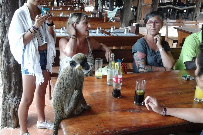Experience Dakar-Goree-Pink Lake-Safari tour in 2 days - Authentic Experiences and Final Thoughts