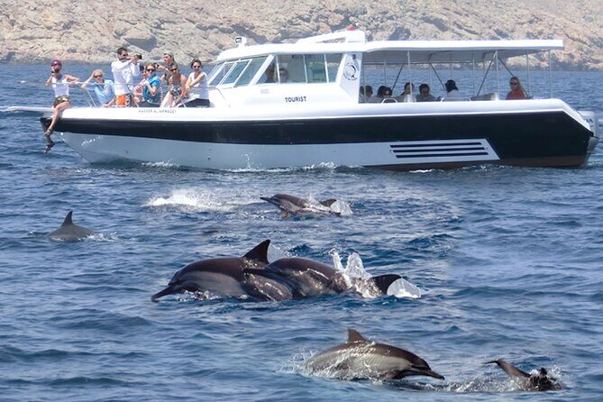 Experience Dolphin watching and snorkeling in Muscat - An Overview of the Experience