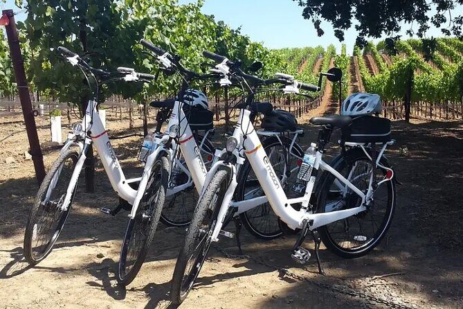 Experience E-Bike with Wine Tasting Activity - Key Points