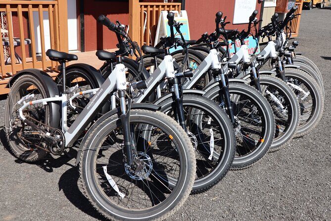Experience E-Bike with Wine Tasting Activity - Authentic Experiences from Reviews