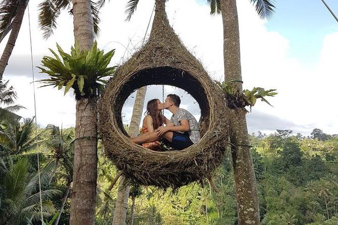 Experience Full Day to Bali Swing Temple and Monkey Forest - An In-Depth Look at the Tour