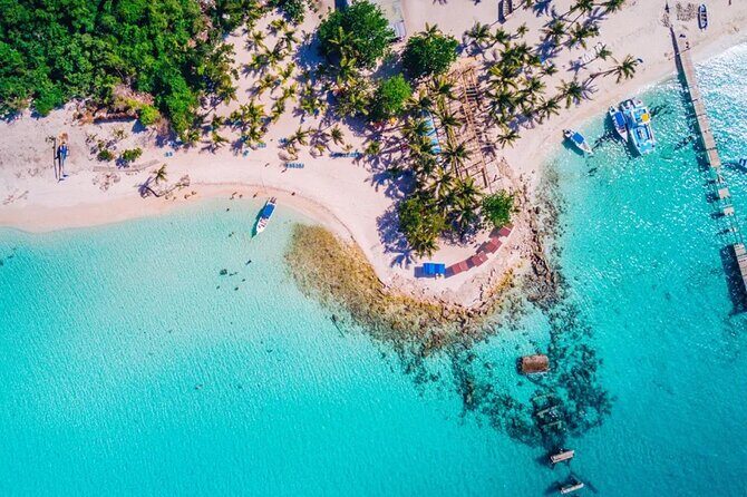 Experience Full Day Tour of Tropical Bliss at Isla Saona - The Itinerary: A Closer Look
