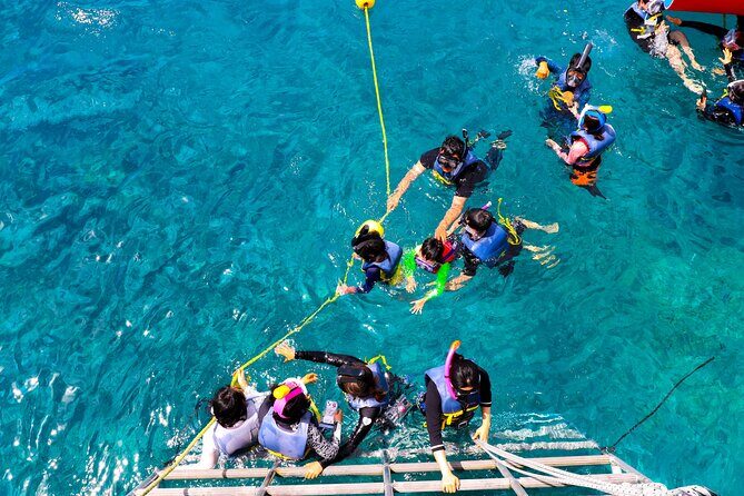 Experience Guam Dolphin Cruise - Who Should Consider This Tour?