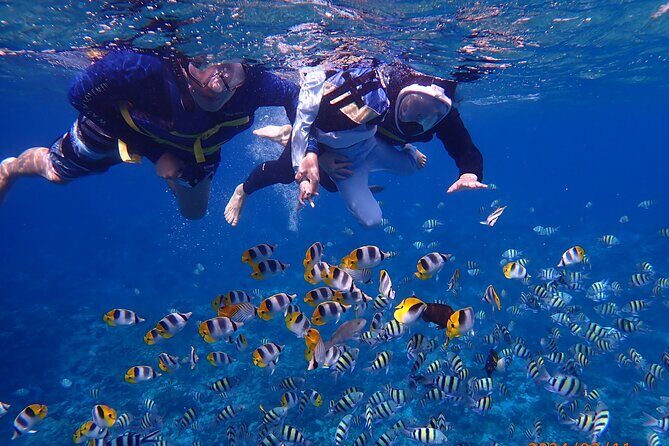 Experience Guam Dolphin Cruise - FAQ