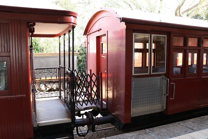Experience History onboard The Mary Valley Rattler - Who Will Love the Mary Valley Rattler?