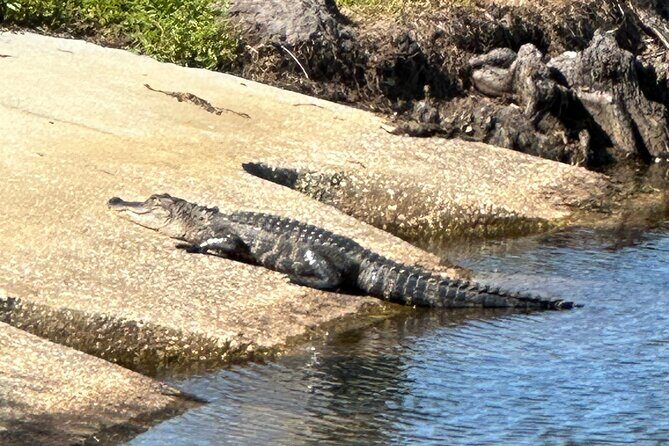 Experience Kissimmee Lakefront Mountain Bike Tour (2 Hours) - An In-Depth Look at the Experience
