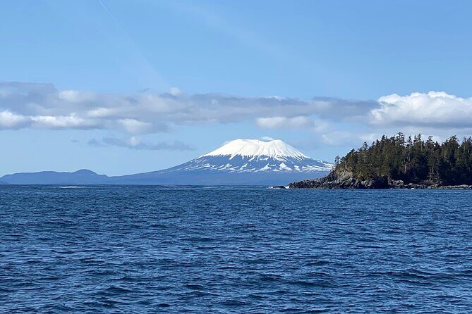 Experience Local Marine Wildlife Tour - Final Thoughts: Who Should Sign Up?