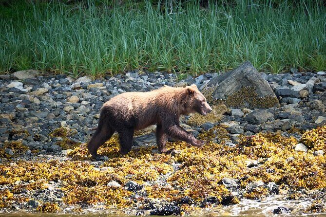 Experience Local Marine Wildlife Tour - FAQ