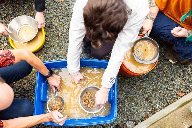 Experience Mining For Genuine Montana Sapphires in Seattle - Key Points