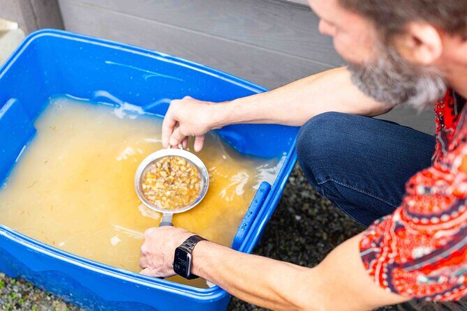 Experience Mining For Genuine Montana Sapphires in Seattle - Final Thoughts