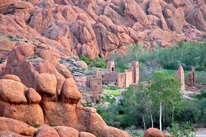 Experience Moroccan Diversity in a Week Private Tour 6 nights 7 days - Analyzing the Value