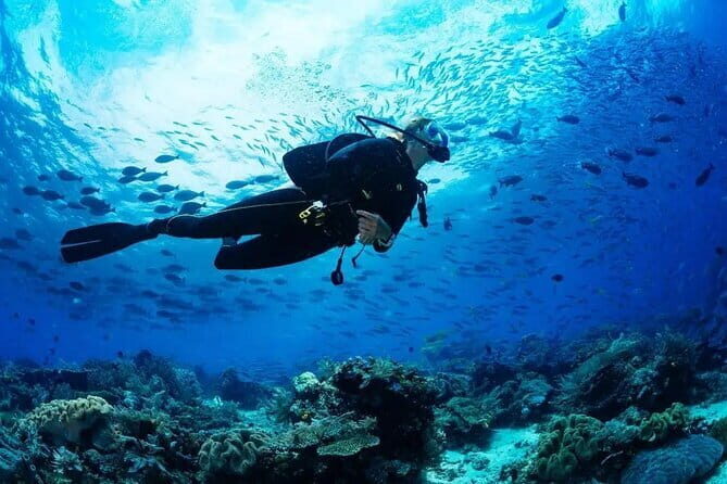 Experience Nha Trang Scuba Diving with Certified Dive - Experience Nha Trang Scuba Diving with Certified Dive: A Detailed Review