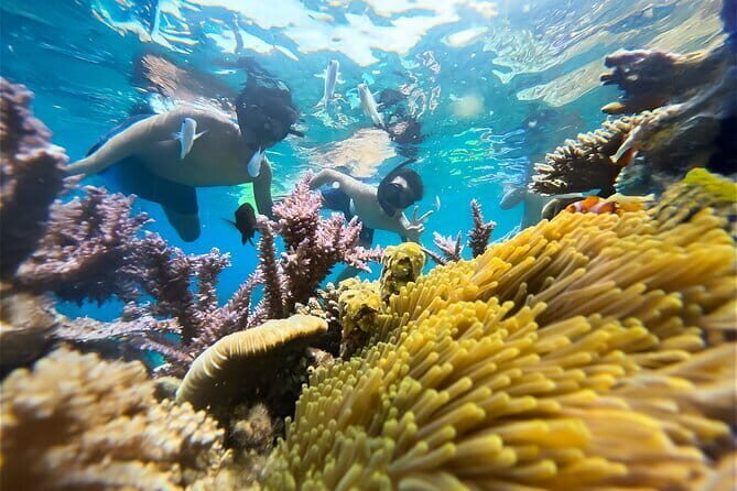Experience Nha Trang Scuba Diving with Certified Dive - Who Should Book This Tour?