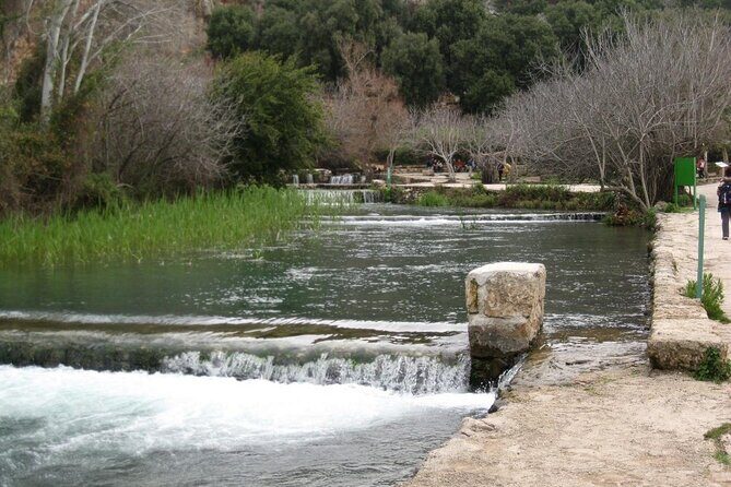 Experience Northern Israel with Abraham - 4 days tour - Practical Aspects of the Tour