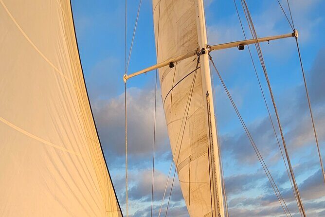 Experience Oceanside Sailing with Whales and dolphins! - A Closer Look at the Experience