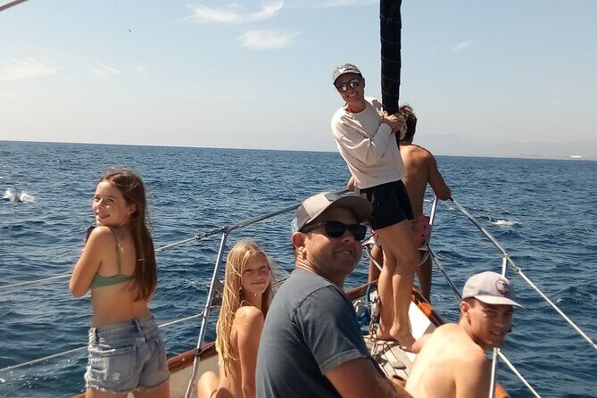 Experience Oceanside Sailing with Whales and dolphins! - The Sum Up