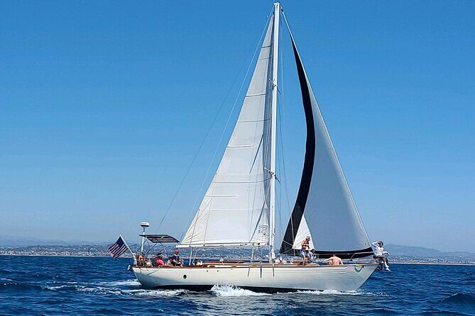 Experience Oceanside Sailing with Whales and dolphins! - FAQ