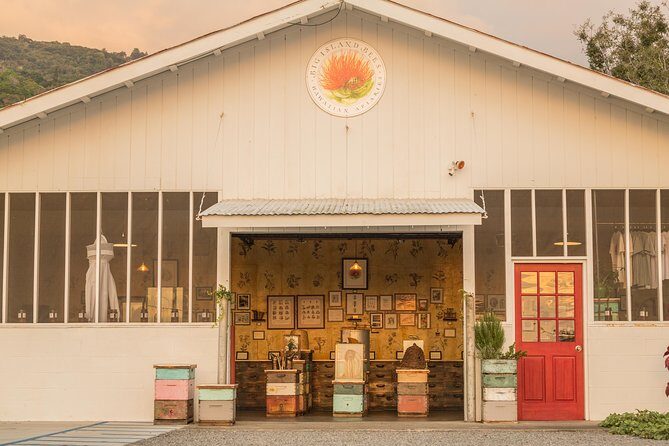 Experience Our Honey Farm And Beekeeping Tour - Practical Tips for Visitors