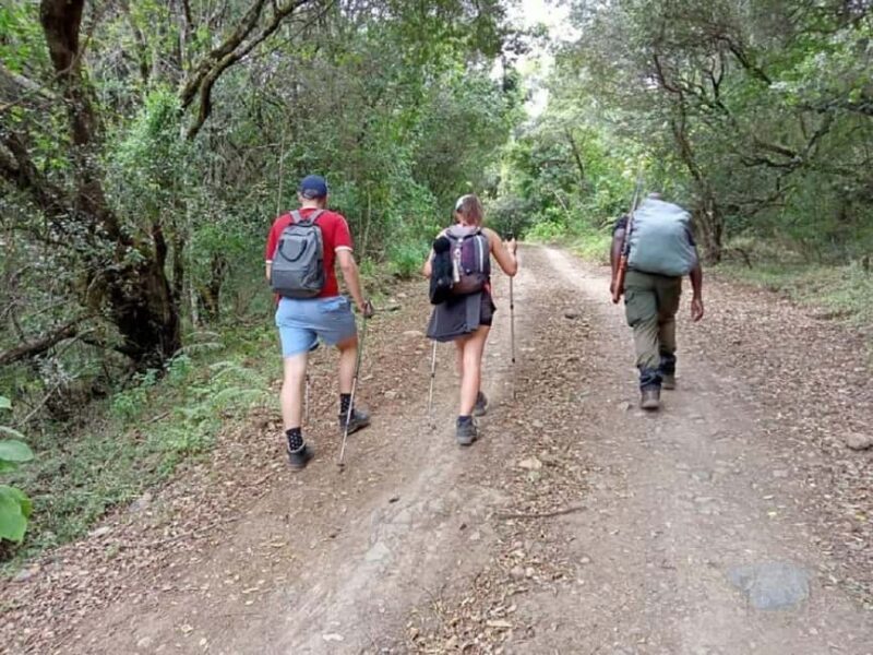 Experience Our Top Best Kilimanjaro Day Hiking Machame Route - The Journey Begins in Arusha